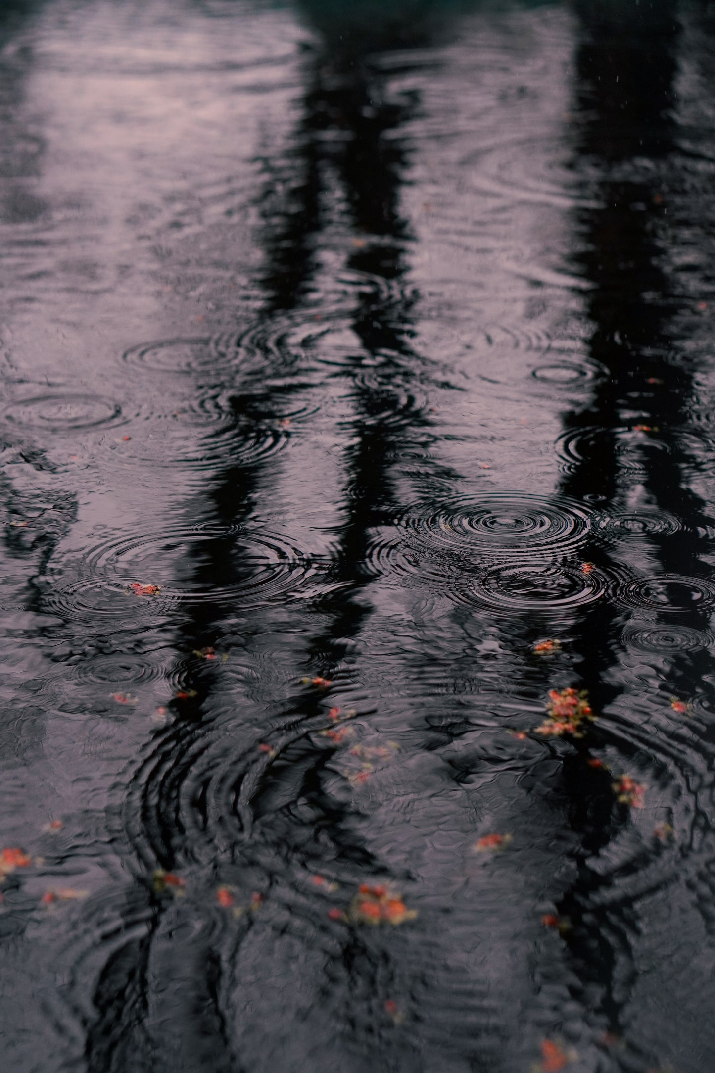 Ripples