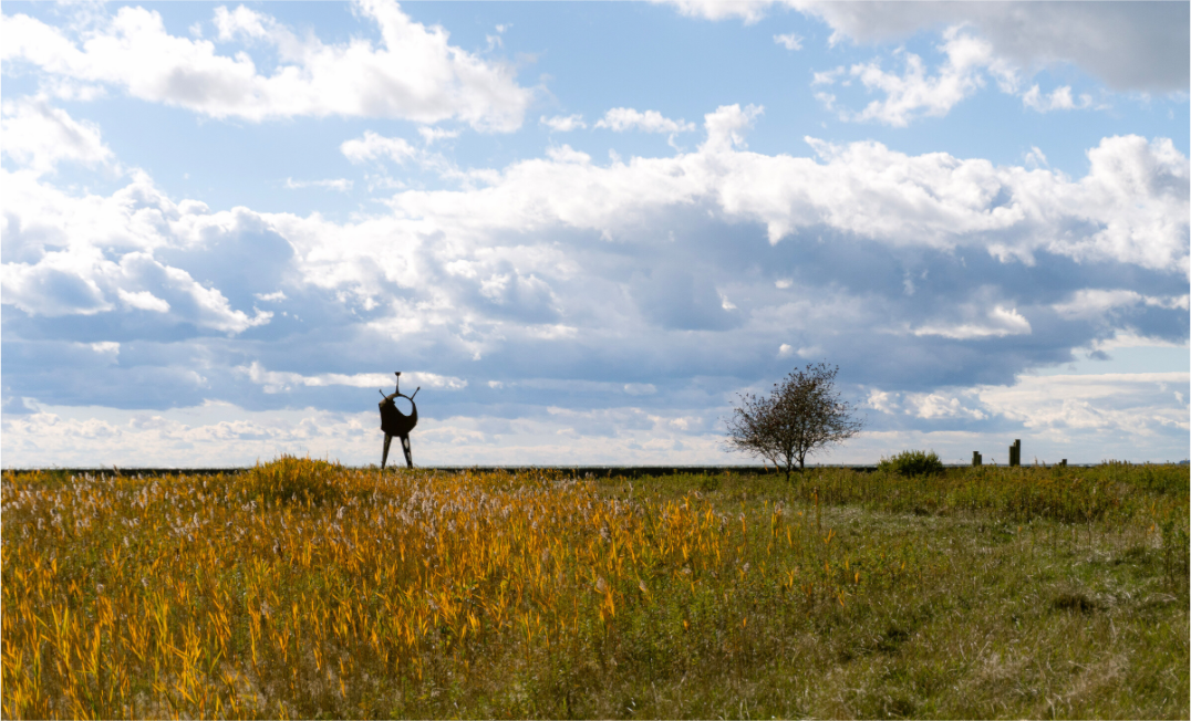 Main image Seperation