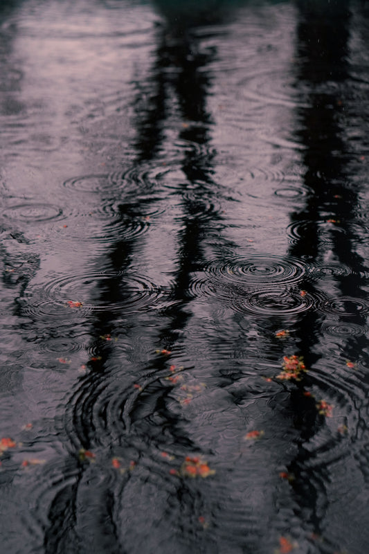 Ripples