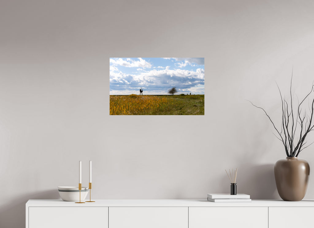 26.4 x 16″, Photo Print On Fuji Crystal DP II Seperation