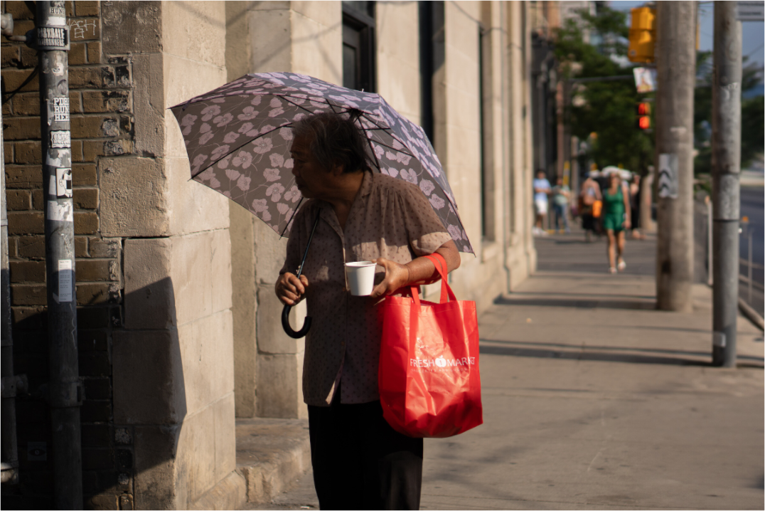 Lady with the Flower Umbrella
