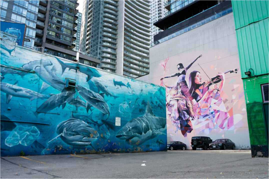 Main image Sharks and dancers